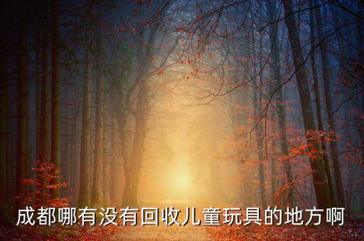 成都哪有没有回收儿童玩具的地方啊