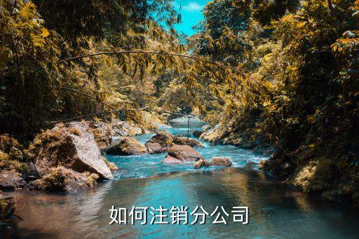 如何注销分公司