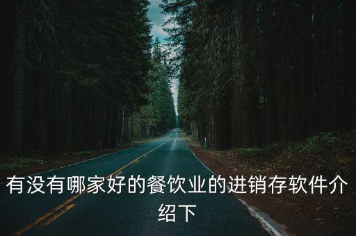 有没有哪家好的餐饮业的进销存软件介绍下