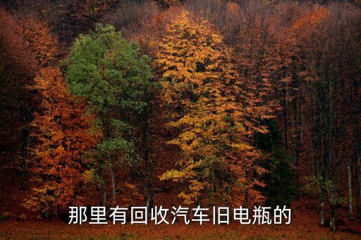 那里有回收汽车旧电瓶的