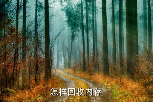 怎样回收内存