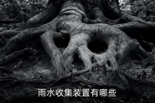 雨水收集装置有哪些