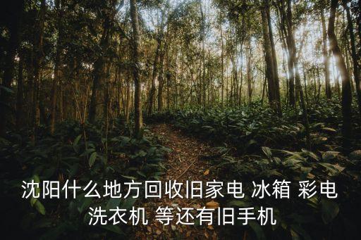 沈阳二手家电回收，沈阳什么地方回收旧家电 冰箱 彩电 洗衣机 等还有旧手机