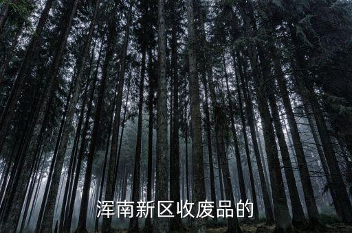 浑南新区收废品的