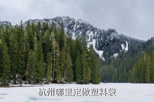 杭州哪里定做塑料袋