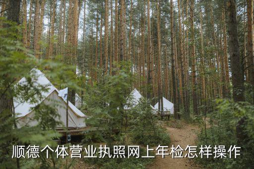 顺德个体营业执照网上年检怎样操作