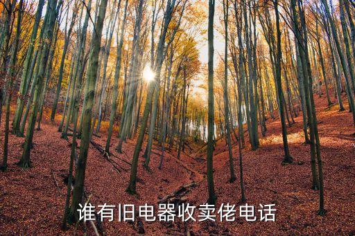 上门回收旧家电电话多少啊，wwwqdgxincomindexhtml是回收家电的哪