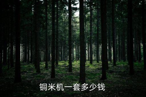 铜米机一套多少钱