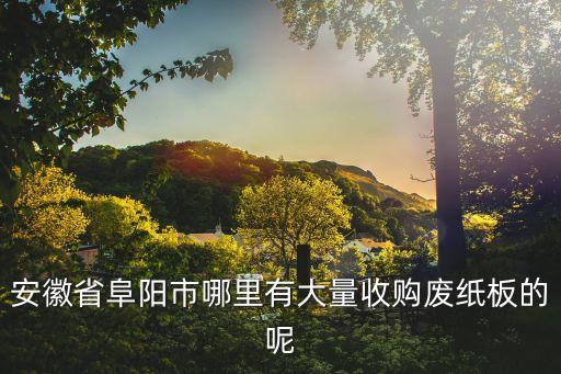 安徽省阜阳市哪里有大量收购废纸板的呢