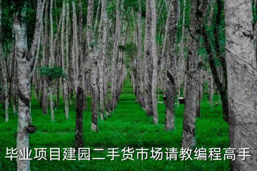 毕业项目建园二手货市场请教编程高手