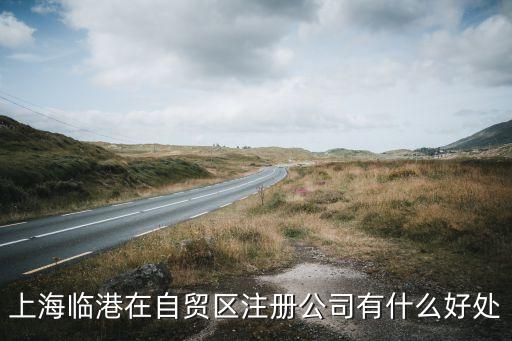 上海临港在自贸区注册公司有什么好处