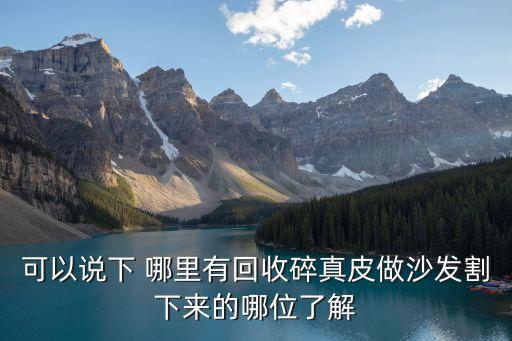 可以说下 哪里有回收碎真皮做沙发割下来的哪位了解