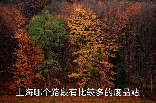 上海哪个路段有比较多的废品站