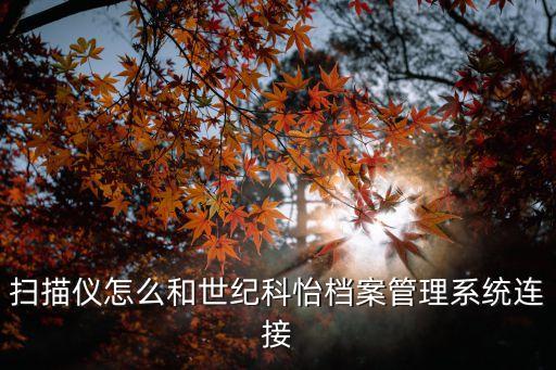世纪科怡档案管理软件，世纪科怡档案管理系统