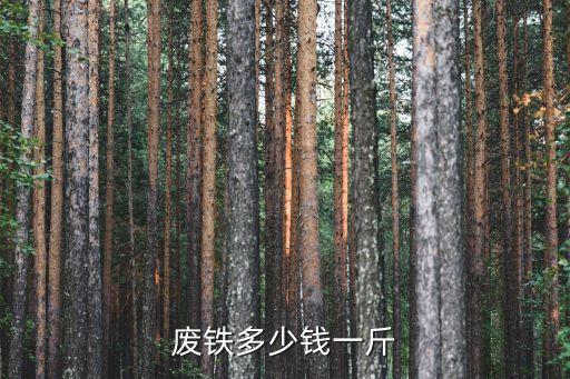 废铁多少钱一斤
