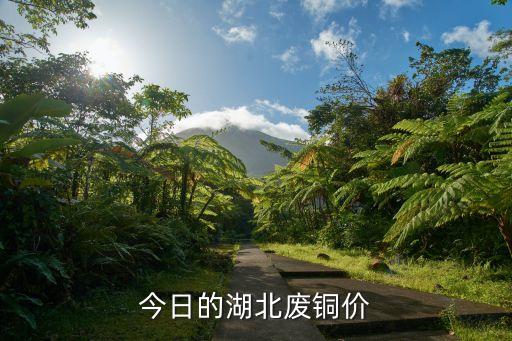 今日的湖北废铜价