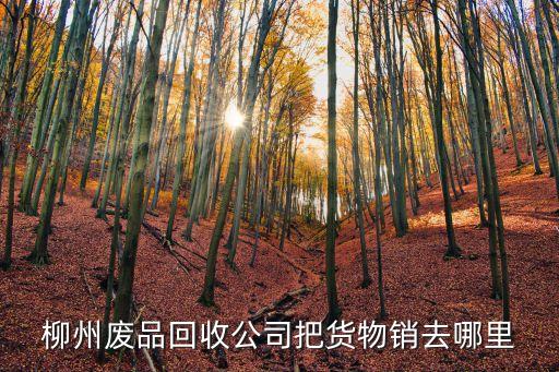 柳州废铁回收厂，有知道柳州什么地方有废铁卖吗要回收率高的那种