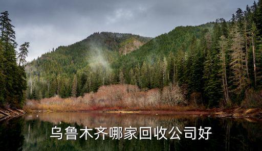 乌鲁木齐报废车回收公司在哪里，乌市报废拆车场在哪里