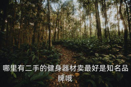 哪里有二手的健身器材卖最好是知名品牌哦