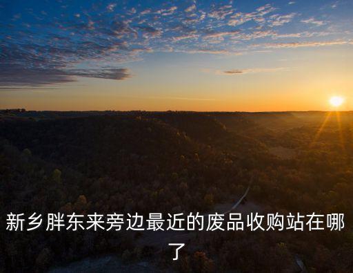 新乡胖东来旁边最近的废品收购站在哪了
