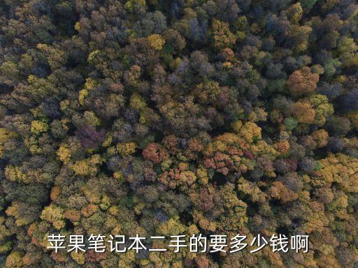 苹果笔记本二手的要多少钱啊