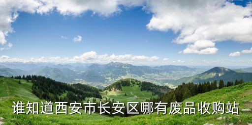谁知道西安市长安区哪有废品收购站