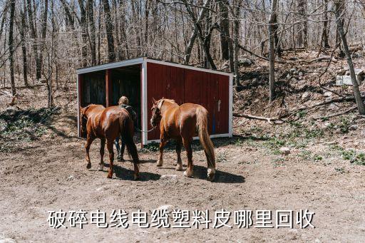 破碎电线电缆塑料皮哪里回收