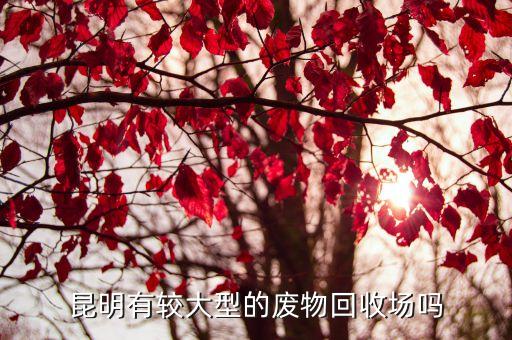 昆明有较大型的废物回收场吗