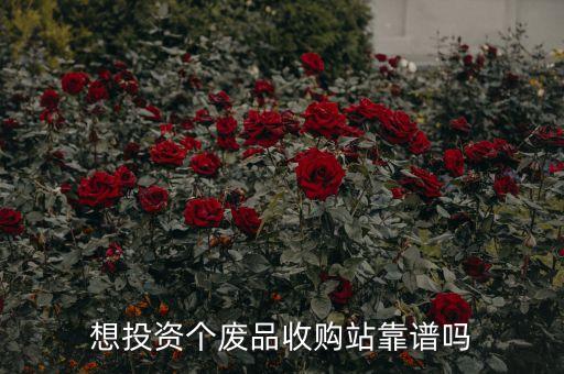 想投资个废品收购站靠谱吗