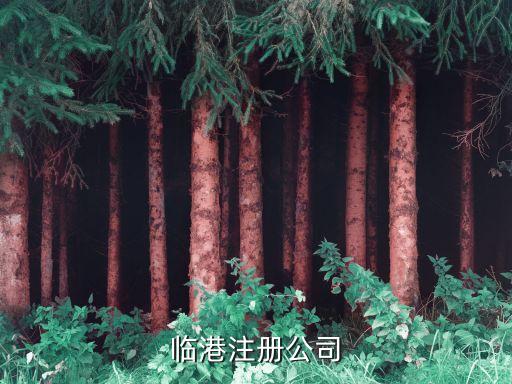临港注册公司