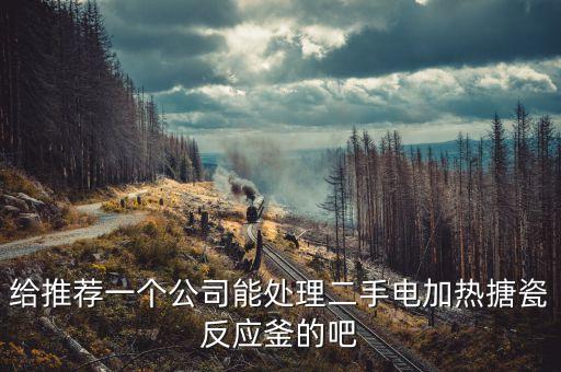 给推荐一个公司能处理二手电加热搪瓷反应釜的吧