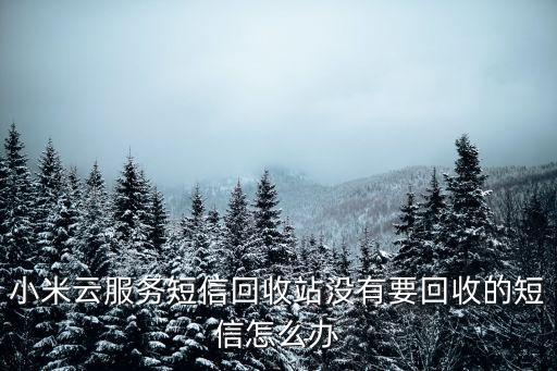 小米云服务短信回收站没有要回收的短信怎么办