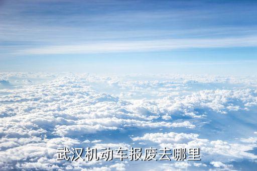 武汉机动车报废去哪里