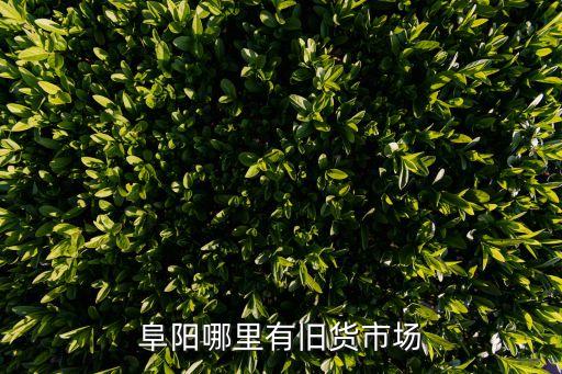 阜阳大型废品收购站，阜阳市中心旧货市场在哪里