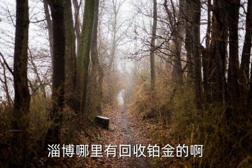 淄博哪里有回收铂金的啊