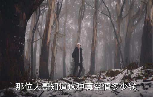 那位大哥知道这种真空值多少钱