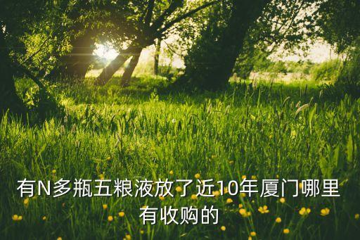 有N多瓶五粮液放了近10年厦门哪里有收购的
