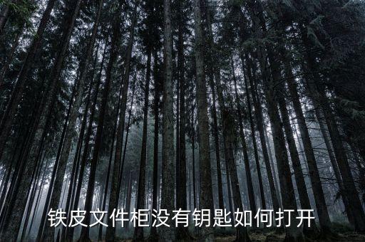 铁皮文件柜没有钥匙如何打开