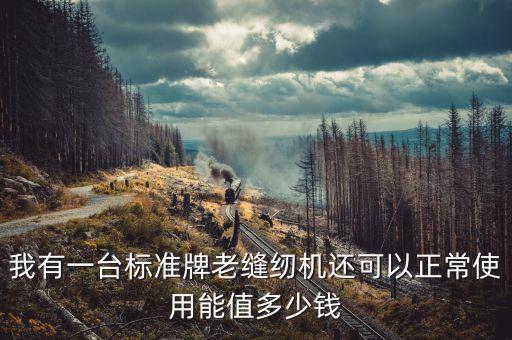 我有一台标准牌老缝纫机还可以正常使用能值多少钱