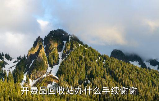 开费品回收站办什么手续谢谢