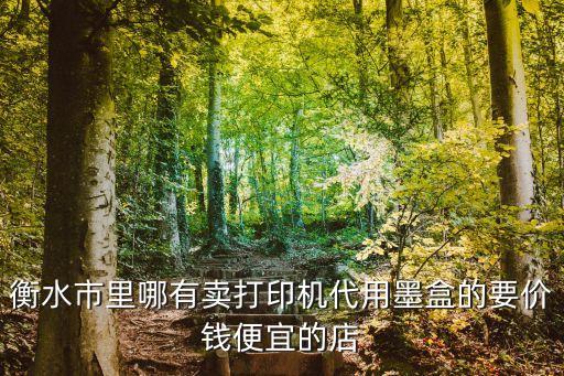 附近卖打印机墨盒，衡水市里哪有卖打印机代用墨盒的要价钱便宜的店