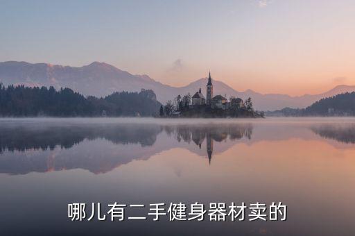 哪儿有二手健身器材卖的