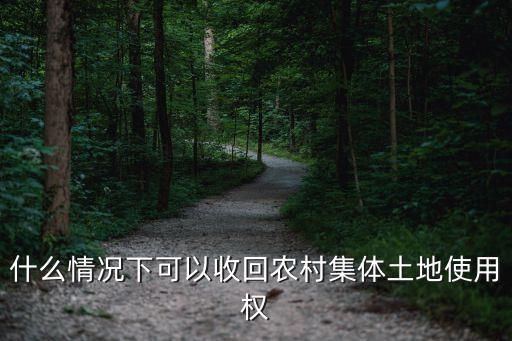 什么情况下可以收回农村集体土地使用权