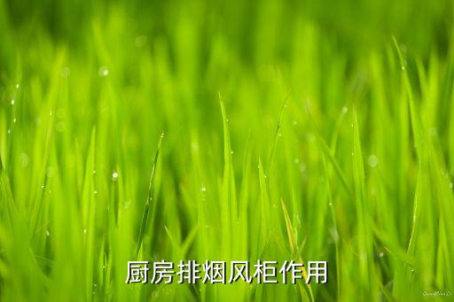 厨房排烟风柜作用