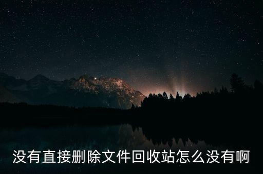 没有直接删除文件回收站怎么没有啊