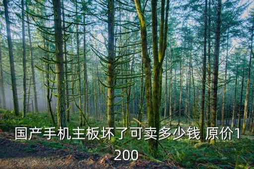 国产手机主板坏了可卖多少钱 原价1200