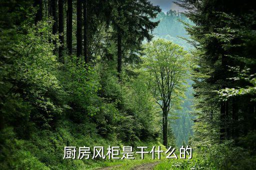 厨房风柜是干什么的