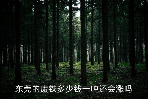 东莞的废铁多少钱一吨还会涨吗