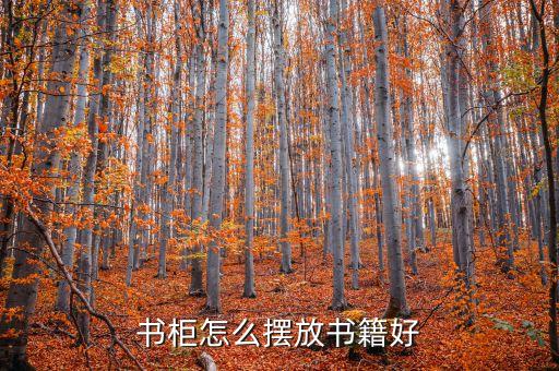 书柜怎么摆放书籍好