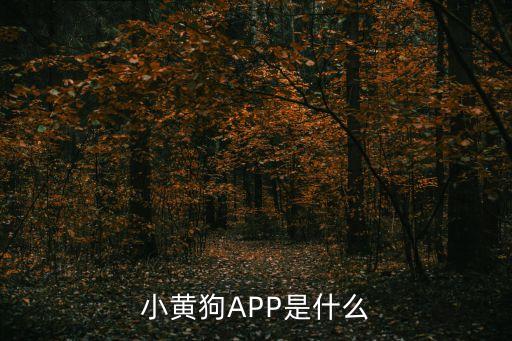 网上废品回收app，有没有上门回收废品APP呀